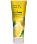 Desert Essence Organics Lemon And Tea Tree Shampoo, 8 fl.oz.