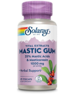 Solaray Mastic Gum - Main