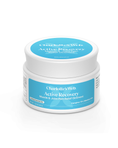 Charlotte's Web Active Recovery Muscle & Joint Pain Relief Ointment - Front view