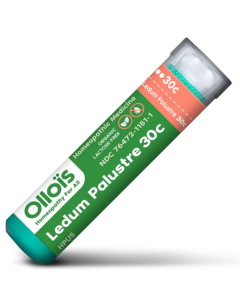 Olloïs Ledum Palustre 30C - Main