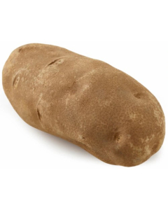 Russet Potato