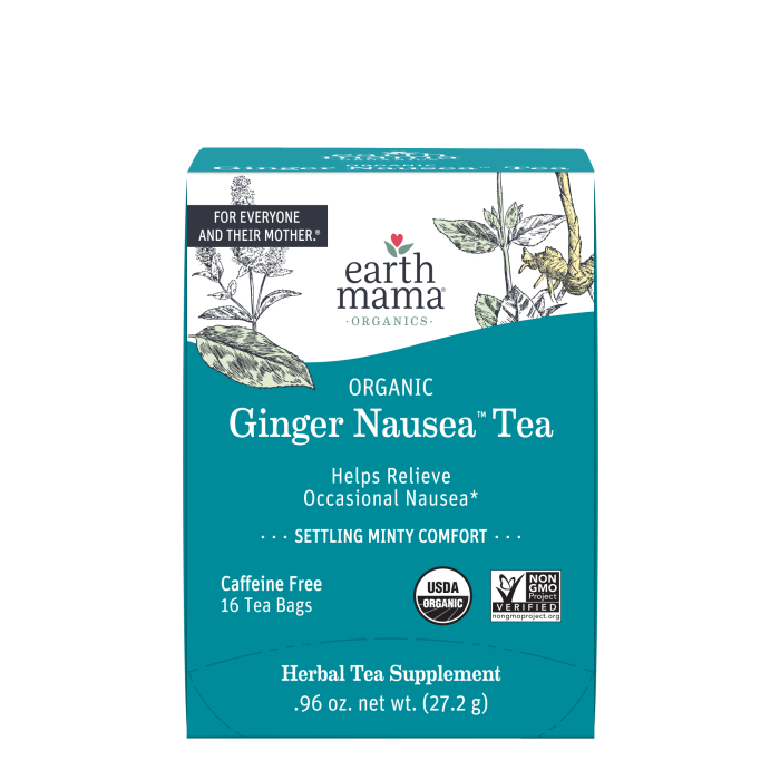 Earth Mama Ginger Nausea Tea - Main