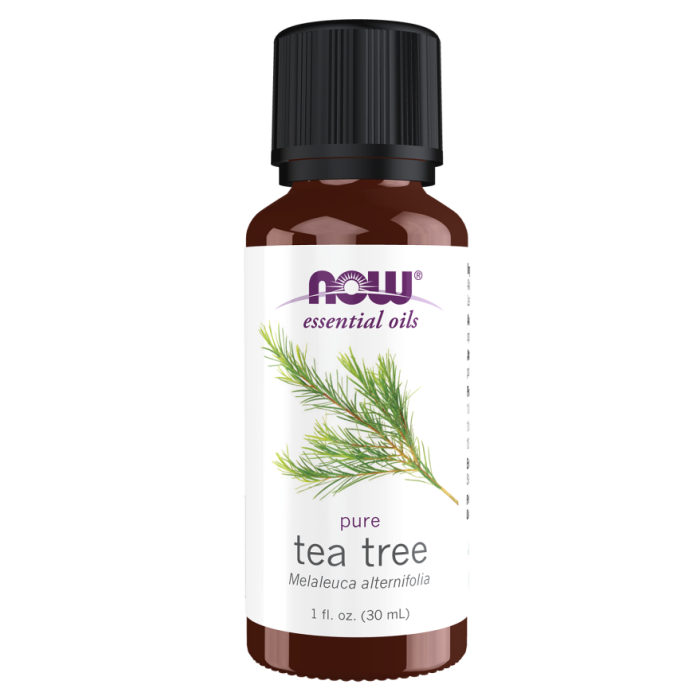 NOW Foods Tea Tree Oil - 1 fl. oz.