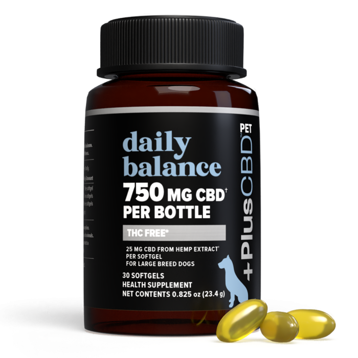 CV Sciences Daily Balance Pet CBD 25mg - Front view