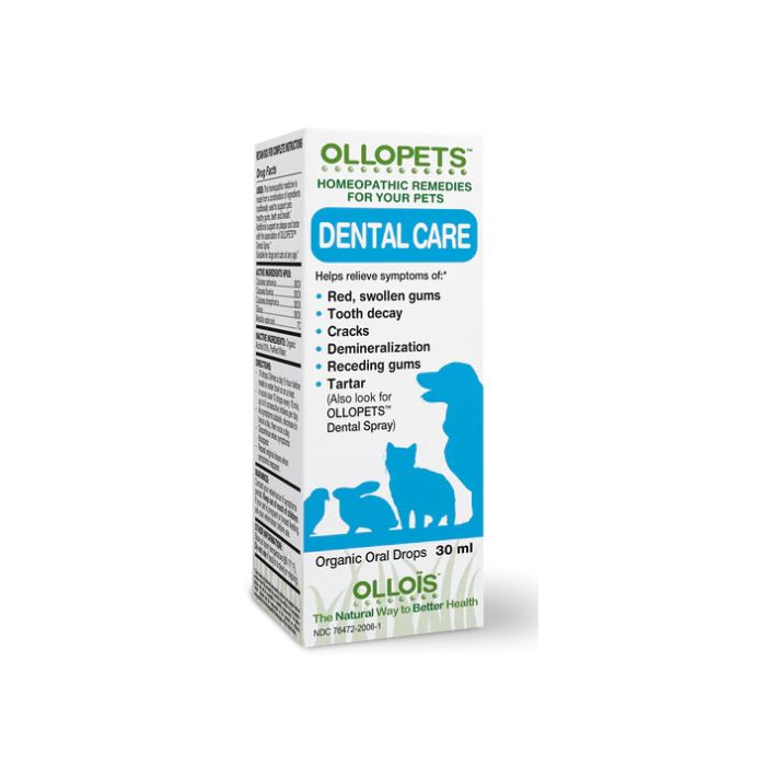 Ollopets Dental Care - Main