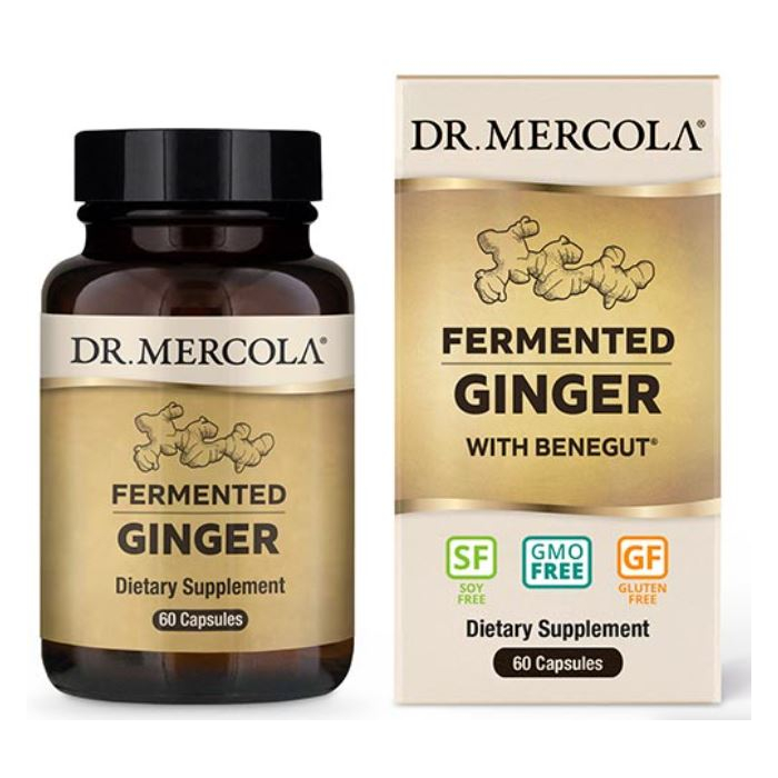 Dr. Mercola Fermented Ginger - Main