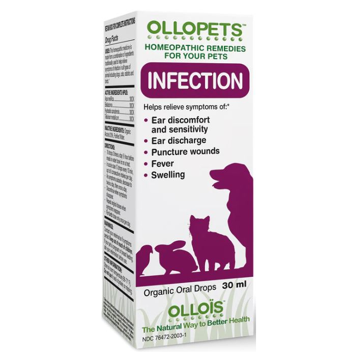 Ollopets Infection - Main