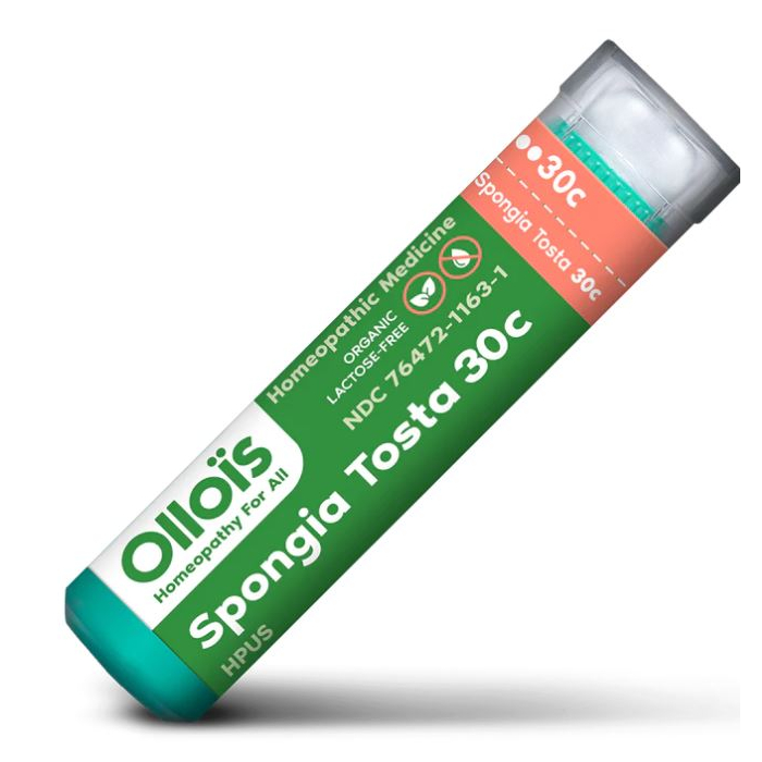 Olloïs Spongia Tosta 30C - Main