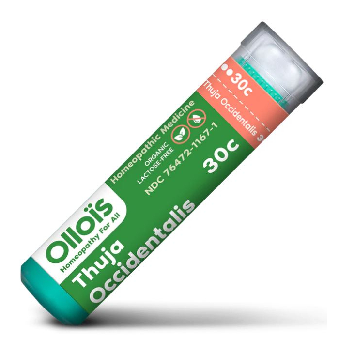 Olloïs Thuja Occidentalis 30C - Main