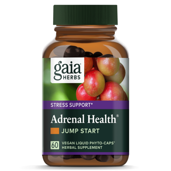 Gaia Adrenal Health® Jump Start, 60 Vegan Liquid Phyto-Capsules
