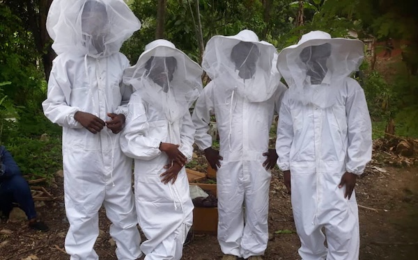 Haitian beekeepers