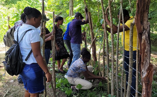Haitians building a fence