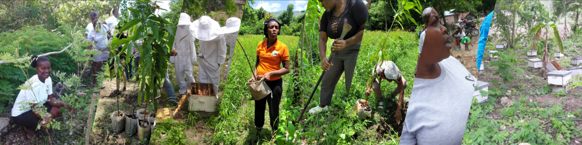Collage of workers in Haiti