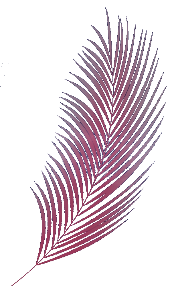 Fern leaf in pinks